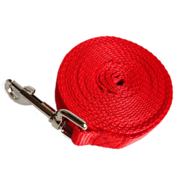 2.5CM Wide Long Dog Rope Leash in pink color with metal clip.